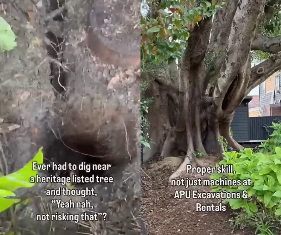 Non-Destructive Digging Near Heritage Trees